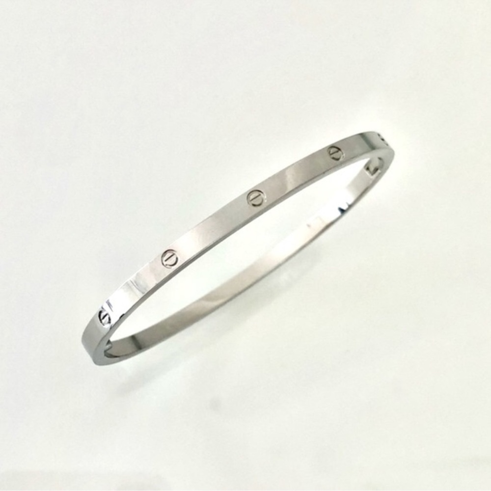 Silver Generic Small Model Screw Bangle Bracelet and Screw Driver